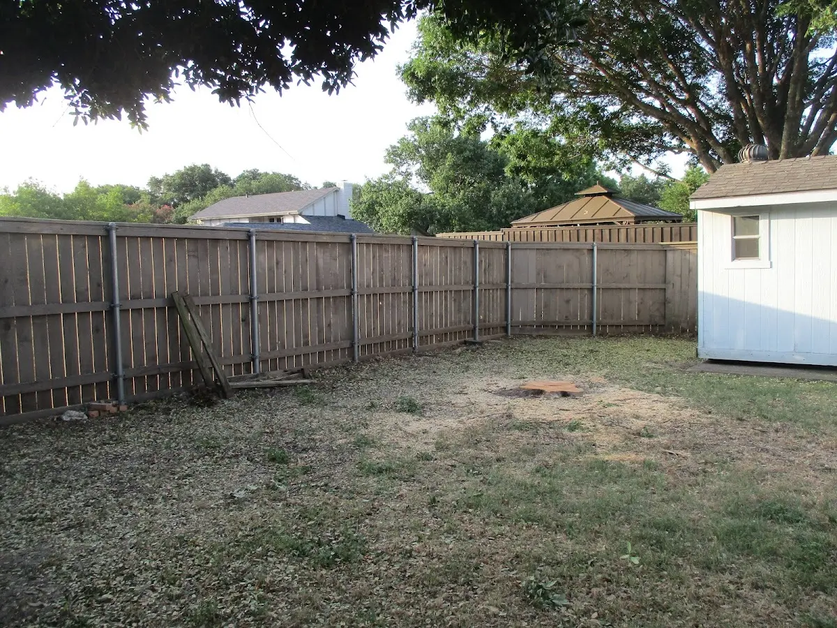 Cleared yard after professional tree removal in Okolona